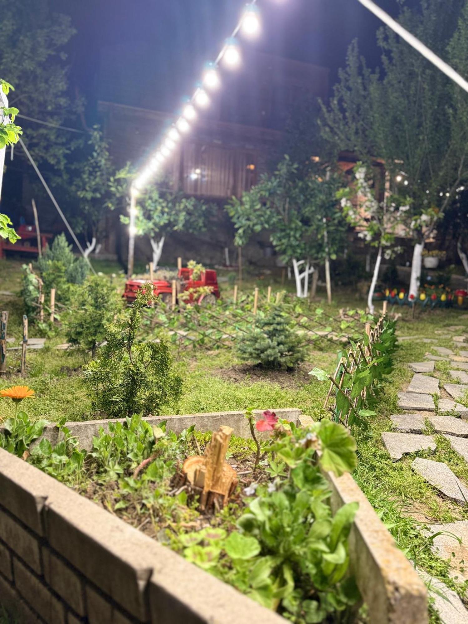 库塔伊西Sunshine House别墅 外观 照片